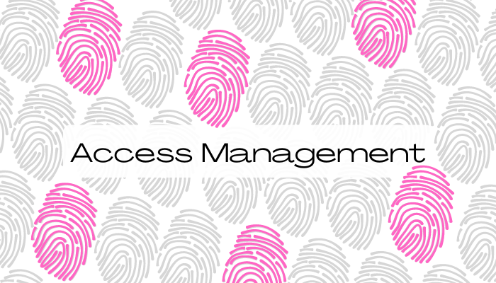 Choosing the Best Access Management Strategy for Your Small Business